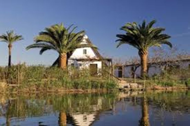 Descubriendo la Albufera: más allá de los paseos en barca